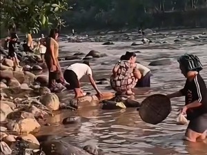 Viral Sungai Cikaniki di Bogor Tercemar, Polisi dan Pemkab Selidiki
