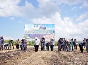 Banyuwangi Jadi Pilot Project Penanaman Kedelai 1.200 Hektare