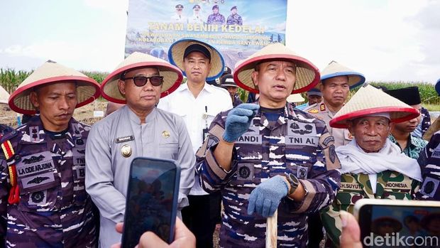 TNI AL bersama Pemkab Banyuwangi dan sinergi lintas sektor, menanam kedelai di lahan seluas 1.200 hektare