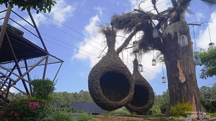 Liburan Keluarga ke Subang? Ada Kebun Teh dan Banyak Spot Foto Estetik