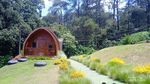 Liburan Keluarga ke Subang? Ada Kebun Teh dan Banyak Spot Foto Estetik