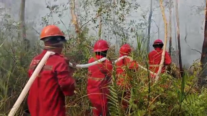 Upaya pemadaman di Sungai Menang, OKI oleh personel Manggala Agni.