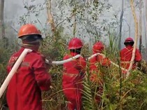 Karhutla Muncul di Enam Daerah Sumsel, Ini Sebarannya