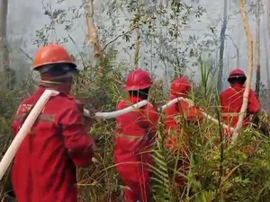 Karhutla Muncul di Enam Daerah Sumsel, Ini Sebarannya
