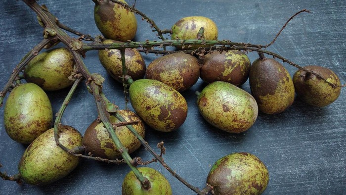 Matoa fruit or Pometia pinnata from Papua, Indonesia. Matoa contains vitamins, nutrients and antioxidants.
