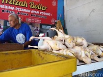 Harga Ayam Broiler di Probolinggo Naik Jadi Rp38 Ribu per Kg