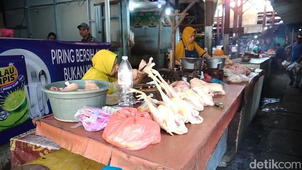 Harga Ayam Broiler di Probolinggo Pedagang mengeluhkan kenaikan harga ayam di Probolinggo