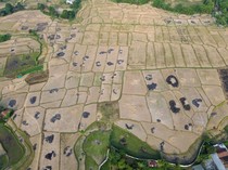 Kemarau Ancam Ribuan Hektare Sawah di Bekasi, Kekeringan Berpotensi Meluas
