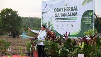 Kepala BPOM Resmikan Pusat Tanaman Obat Bahan Alam di Palembang Seluas 21 Ha