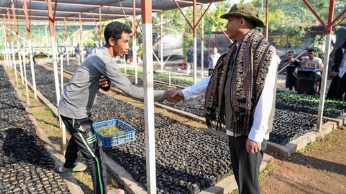 Menhut Raja Juli Antoni saat meninjau Persemaian Permanen Fatukoa di Kecamatan Alak, Kota Kupang, NTT, Jumat (31/7/2026). (Foto: Dok. Kemenhut)