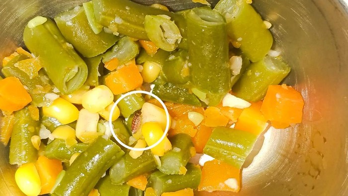 Menu MBG di salah satu SD Lubuklinggau ditemukan ulat
