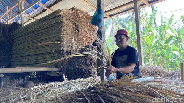Nengah Lanus (65), buruh rajut atap alang-alang sedang bekerja di Desa Paksebali, Klungkung, Bali, Sabtu (1/8/2026). Nengah Lanus (65), buruh rajut atap alang-alang sedang bekerja di Desa Paksebali, Klungkung, Bali, Sabtu (1/8/2026).