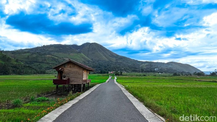 Potret Desa Singkam yang berada di Kabupaten Samosir. (Foto: Kartika Sari/detikSumut)