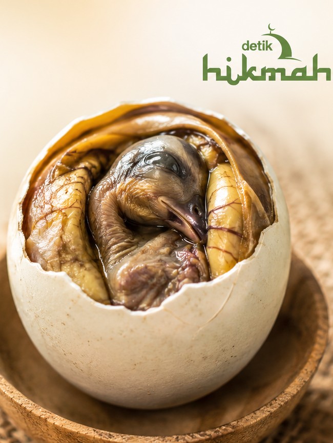 Kenapa Balut Haram untuk Muslim?