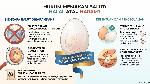 Kenapa Balut Haram untuk Muslim?