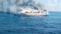 Kuda Pacu Pemenang Kejurnas Hangus Terbakar di KM Mutiara Sentosa