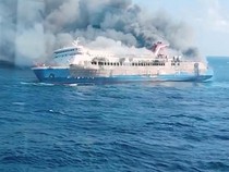 Kuda Juara Nasional Asal Jeneponto Hangus di Kebakaran KM Mutiara Sentosa