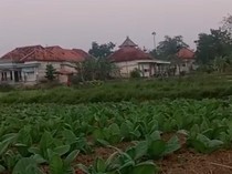 Fakta Terbaru Misteri Suara Air di Tanah Kering Sampang
