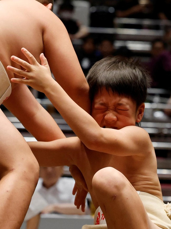 Menggemaskan tapi Tangguh! Pegulat SD Bertarung di Turnamen Sumo Tokyo