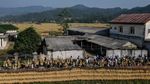 Padi Bergoyang di Atas Bambu, Ritual Ngarengkong Jadi Wujud Syukur Warga Citorek