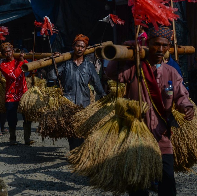 Padi Bergoyang di Atas Bambu, Ritual Ngarengkong Jadi Wujud Syukur Warga Citorek