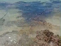 Tumpahan Oli di Pulau Semau Capai 6 Ton, Polisi Terus Lakukan Pembersihan