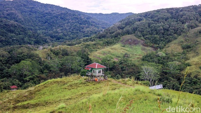 Wisata Savana Long Tua