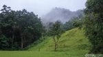 Potret Syahdu Savana Long Tua Kaltara di Pagi Hari