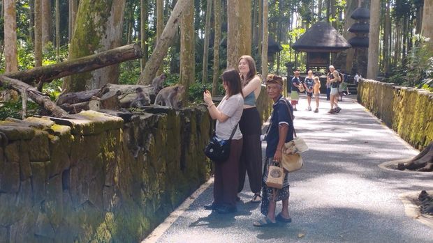 Wisatawan di Hutan Kera Sangeh Wisatawan asing tengah memfoto monyet di Hutan Kera Sangeh, Selasa (28/7/2026).