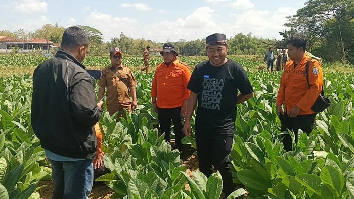 DPRD Sampang bersama BPBD meninjau lokasi lahan tembakau dengan suara gemercik aliran air misterius.