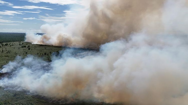 Karhutla Aceh Barat Kian Meluas, Lahan Gambut Terbakar 19 Hektare