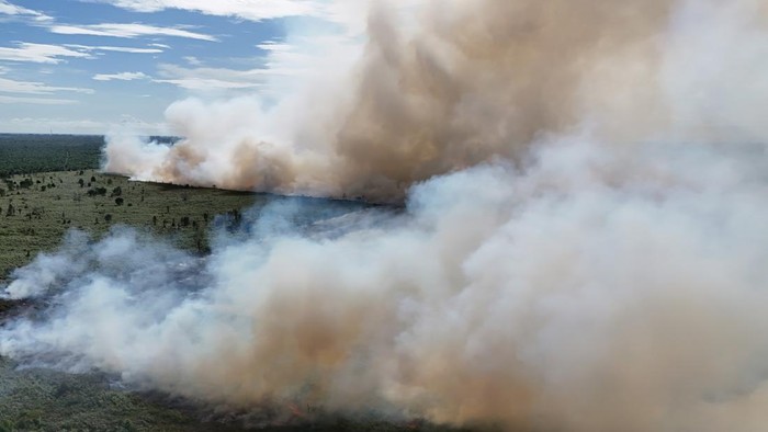 Foto udara kebakaran hutan dan lahan (karhutla) di kawasan lahan gambut Desa Deuah, Kecamatan Samatiga, Aceh Barat, Aceh, Minggu (2/8/2026). BPBD Kabupaten Aceh Barat menyatakan kebakaran hutan dan lahan (karhutla) yang terjadi sejak dua pekan terakhir terus meluas dari 14 hektar menjadi 19 hektar yang dipengaruhi cuaca panas ekstrem dan tiupan angin kencang sehingga mempercepat penguapan kadar air pada vegetasi. ANTARA FOTO/Syifa Yulinnas/sgd