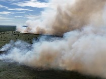 Karhutla Aceh Barat Kian Meluas, Lahan Gambut Terbakar 19 Hektare