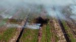 19 Hektare Kawasan Gambut di Aceh Barat Terbakar, Begini Penampakannya