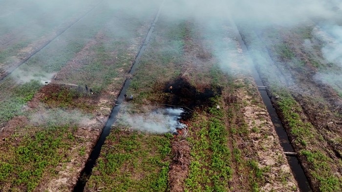 Foto udara kebakaran hutan dan lahan (karhutla) di kawasan lahan gambut Desa Deuah, Kecamatan Samatiga, Aceh Barat, Aceh, Minggu (2/8/2026). BPBD Kabupaten Aceh Barat menyatakan kebakaran hutan dan lahan (karhutla) yang terjadi sejak dua pekan terakhir terus meluas dari 14 hektar menjadi 19 hektar yang dipengaruhi cuaca panas ekstrem dan tiupan angin kencang sehingga mempercepat penguapan kadar air pada vegetasi. ANTARA FOTO/Syifa Yulinnas/sgd