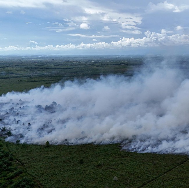 19 Hektare Kawasan Gambut di Aceh Barat Terbakar, Begini Penampakannya