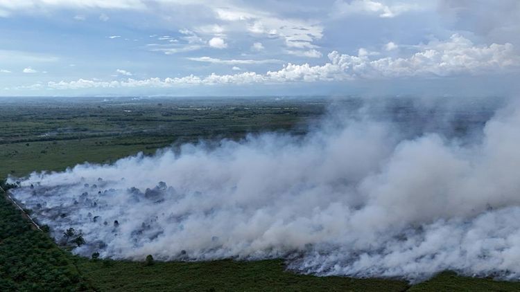 19 Hektare Kawasan Gambut di Aceh Barat Terbakar, Begini Penampakannya