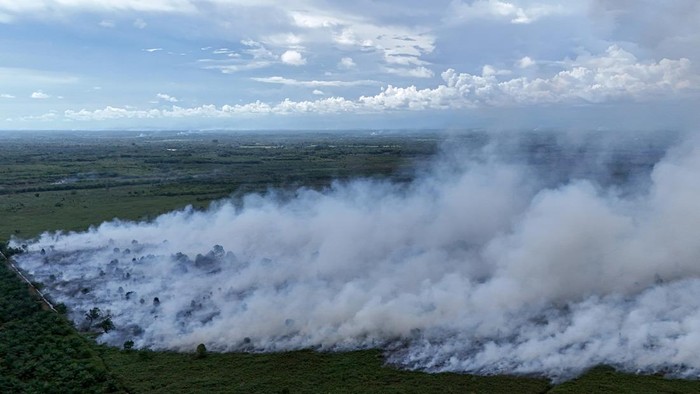 Foto udara kebakaran hutan dan lahan (karhutla) di kawasan lahan gambut Desa Deuah, Kecamatan Samatiga, Aceh Barat, Aceh, Minggu (2/8/2026). BPBD Kabupaten Aceh Barat menyatakan kebakaran hutan dan lahan (karhutla) yang terjadi sejak dua pekan terakhir terus meluas dari 14 hektar menjadi 19 hektar yang dipengaruhi cuaca panas ekstrem dan tiupan angin kencang sehingga mempercepat penguapan kadar air pada vegetasi. ANTARA FOTO/Syifa Yulinnas/sgd