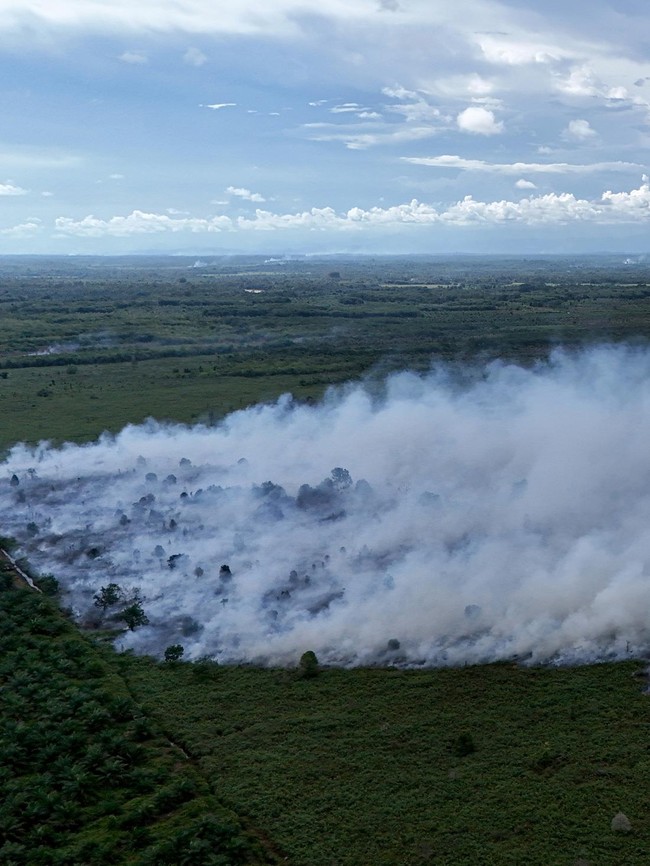 19 Hektare Kawasan Gambut di Aceh Barat Terbakar, Begini Penampakannya