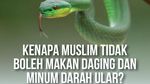 Kenapa Muslim Tidak Boleh Makan Daging dan Minum Darah Ular?
