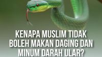 Kenapa Muslim Tidak Boleh Makan Daging dan Minum Darah Ular?