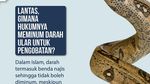 Kenapa Muslim Tidak Boleh Makan Daging dan Minum Darah Ular?