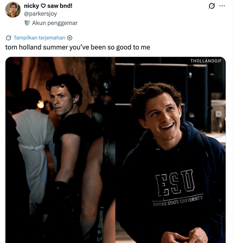 Meme Tom Holland