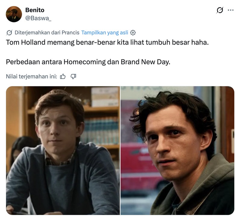 Meme Tom Holland
