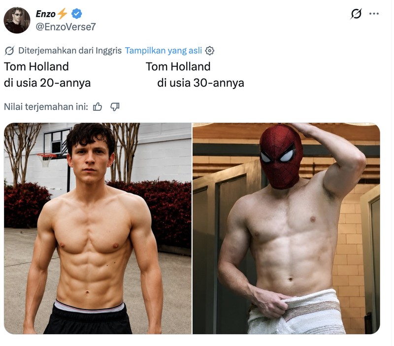 Meme Tom Holland