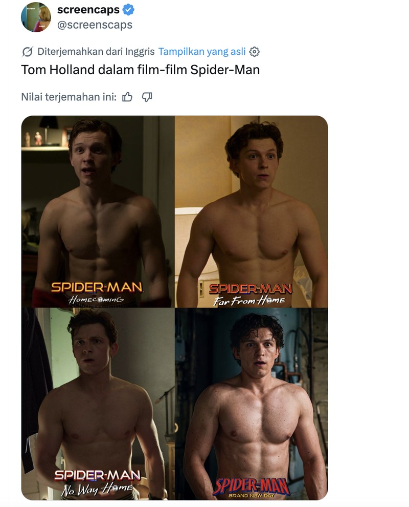 Meme Tom Holland