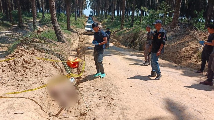 Polisi mendatangi lokasi ditemumkannya jasad pria di parit kebun sawit Muba