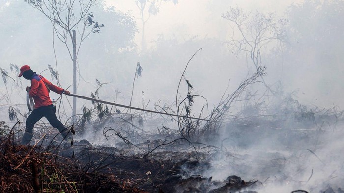 Personel BPBD Provinsi Kalimantan Barat berjalan di lokasi lahan gambut yang terbakar di Dusun Sidomulyo, Desa Limbung, Kecamatan Sungai Raya, Kabupaten Kubu Raya, Kalimantan Barat, Minggu (2/8/2026). BMKG Kalimantan Barat mencatat hasil pantauan sensor VIIRS dan MODIS pada satelit polar per 1 Agustus 2026 menunjukkan terdapat 762 titik panas kebakaran hutan dan lahan yang tersebar di 12 kabupaten di provinsi setempat yaitu antara lain Ketapang, Sanggau, Sekadau, Melawi, dan Kubu Raya. ANTARA FOTO/Jessica Wuysang/sgd