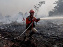 El Nino Datang Lebih Cepat, Antisipasi Penting buat Cegah Karhutla