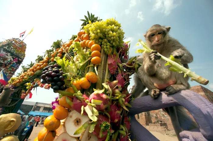 Tahukah Kamu? Ada Festival Buah Meriah di Negara-negara Ini